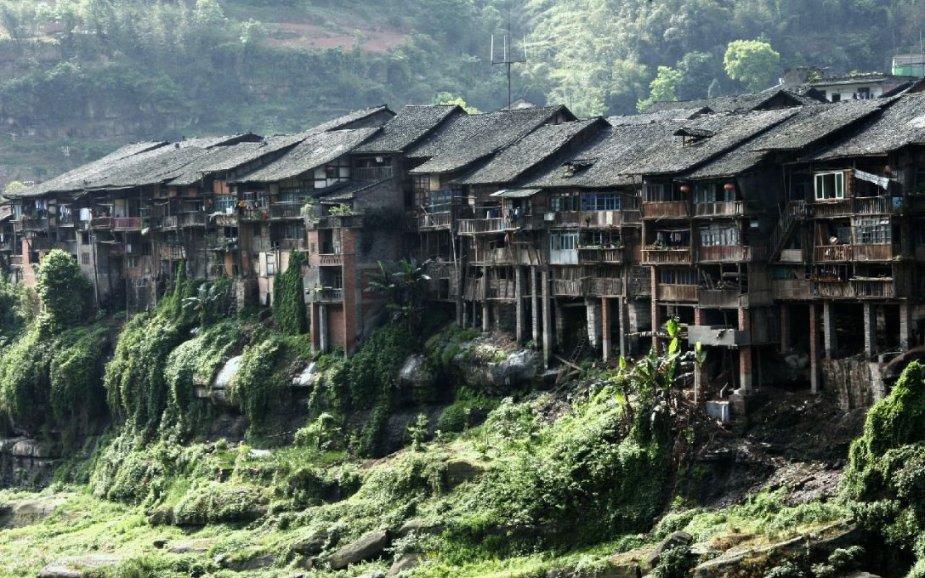 虫虫助手下载